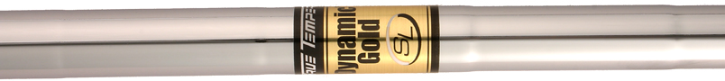 True Temper Dynamic Gold SL X100